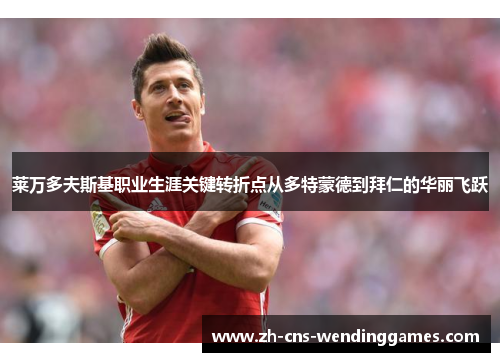 莱万多夫斯基职业生涯关键转折点从多特蒙德到拜仁的华丽飞跃 莱万多夫斯基职业生涯关键转折点从多特蒙德到拜仁的华丽飞跃