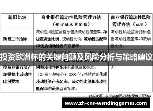 投资欧洲杯的关键问题及风险分析与策略建议 投资欧洲杯的关键问题及风险分析与策略建议