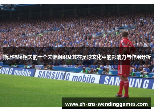 斯坦福桥相关的十个关键组织及其在足球文化中的影响力与作用分析 斯坦福桥相关的十个关键组织及其在足球文化中的影响力与作用分析