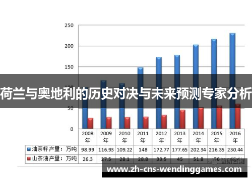 荷兰与奥地利的历史对决与未来预测专家分析