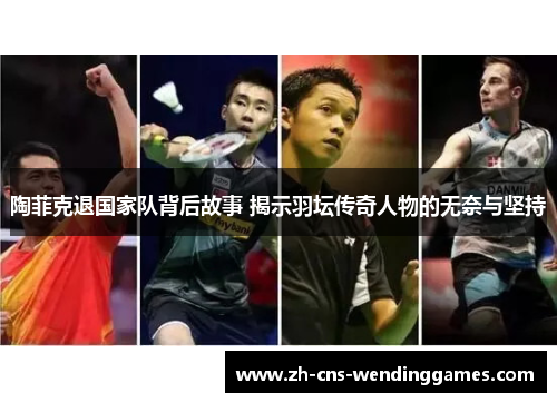 陶菲克退国家队背后故事 揭示羽坛传奇人物的无奈与坚持